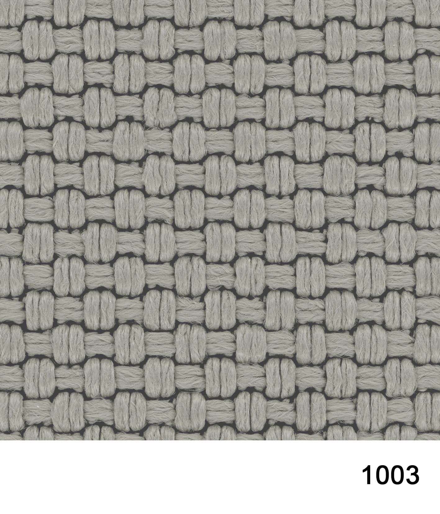 1003