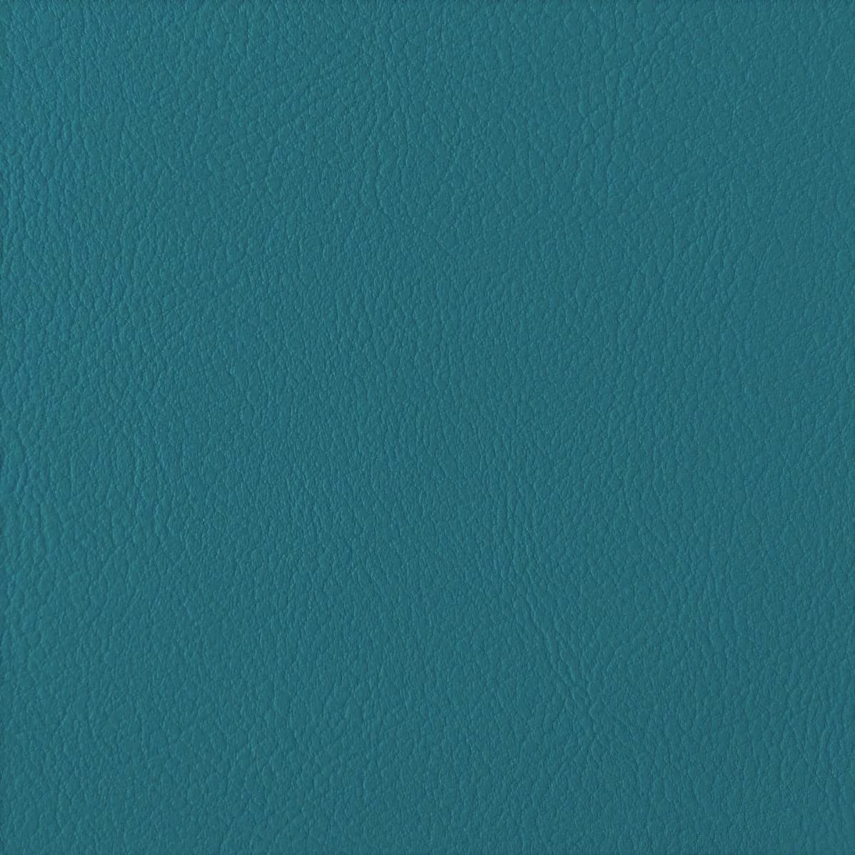TEAL_01187037